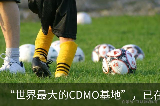 “世界最大的CDMO基地”，已在上海闲置两年多