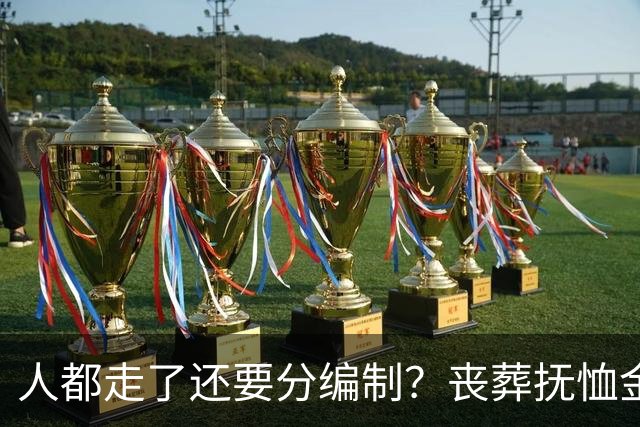 人都走了还要分编制？丧葬抚恤金的差距，戳痛无数普通人