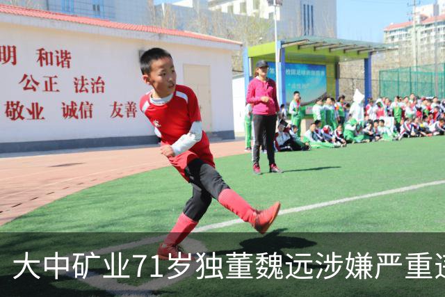 大中矿业71岁独董魏远涉嫌严重违纪违法，接受纪律审查和监察调查