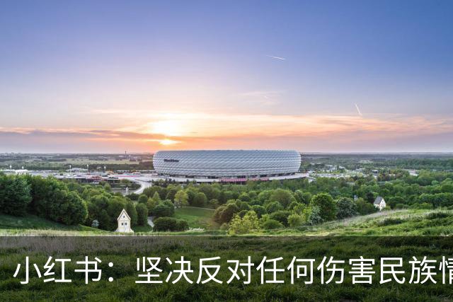 小红书：坚决反对任何伤害民族情感的行为，与姆巴佩内容合作已于2024年12月31日结束，目前正持续核查并下架相关物料