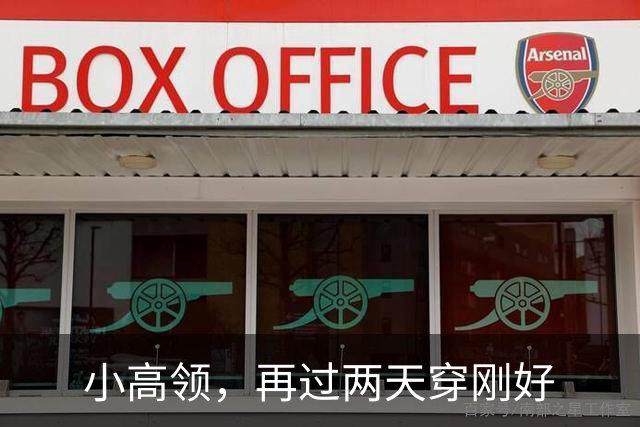 小高领，再过两天穿刚好