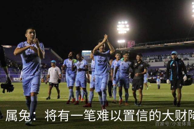 属兔：将有一笔难以置信的大财降临，2027年，你要乐开花