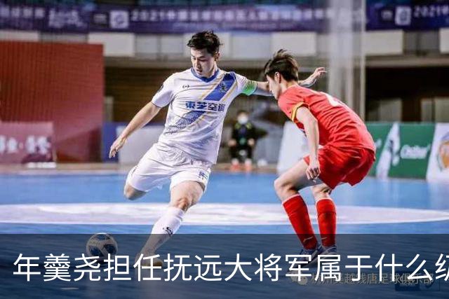 年羹尧担任抚远大将军属于什么级别？与大学士和军机大臣相比如何？