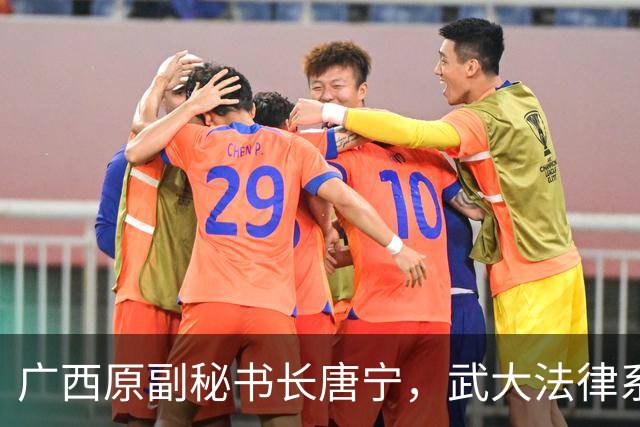 广西原副秘书长唐宁，武大法律系出身，最懂法的人越了线