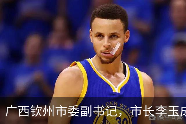 广西钦州市委副书记，市长李玉成简历