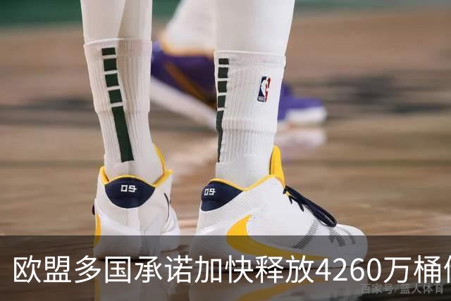 欧盟多国承诺加快释放4260万桶储油以稳定市场