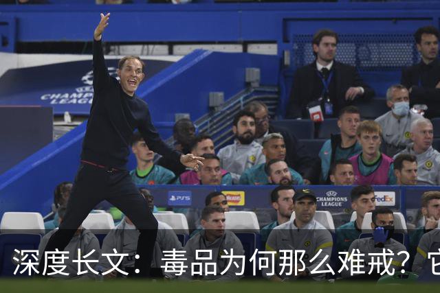 深度长文：毒品为何那么难戒？它不制造快乐，只是偷走了你感受快乐的能力！