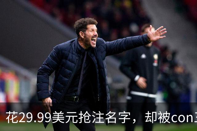 花29.99美元抢注名字，却被"con"三个字母拦在门外