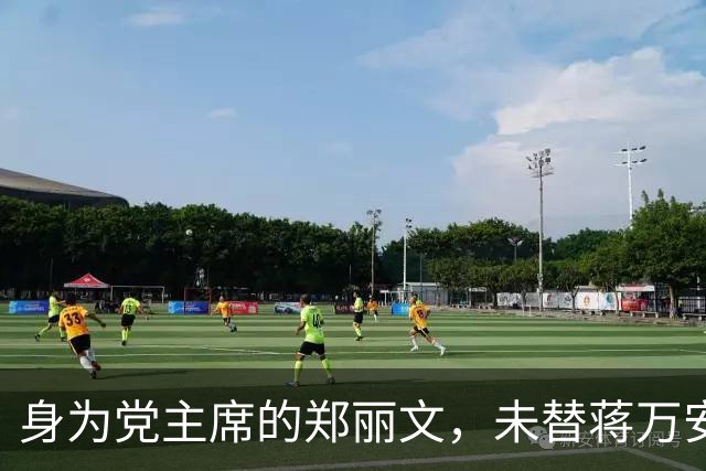 身为党主席的郑丽文，未替蒋万安助选，她要抓住一切机会“立威”