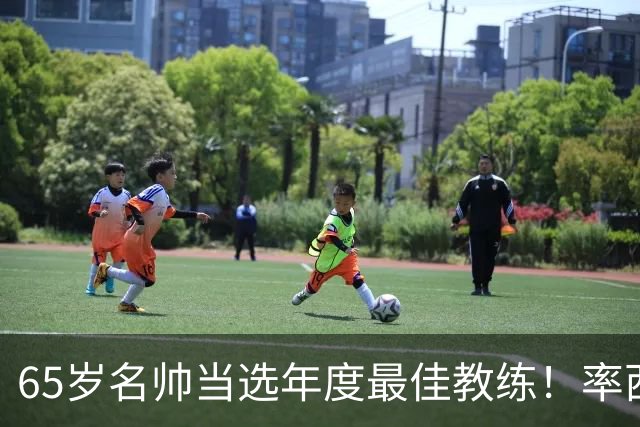 65岁名帅当选年度最佳教练！率西班牙问鼎世界杯 力压5大顶级教头
