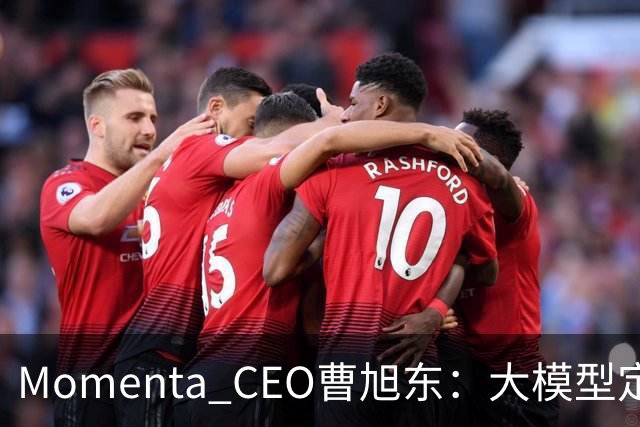 Momenta CEO曹旭东：大模型定义芯片 才有可能实现规模化L4
